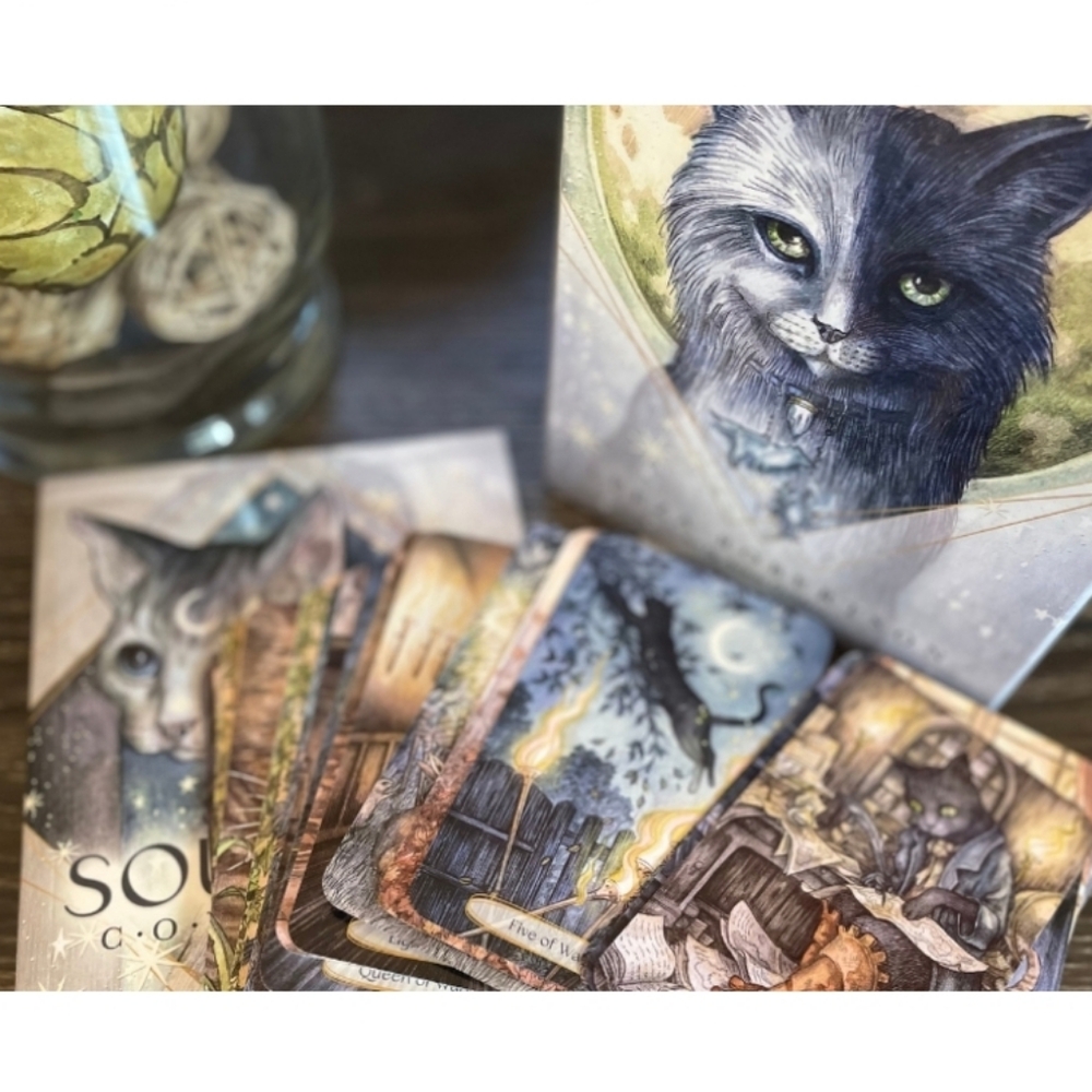 Soul Cats Tarot Card Set With Book Divine Feline New By Leeza Robertson - Picture 13 of 14